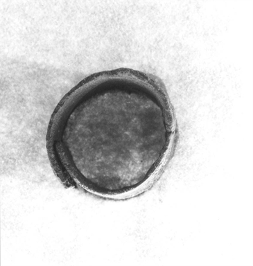 Anello a fascetta a capi sovrapposti